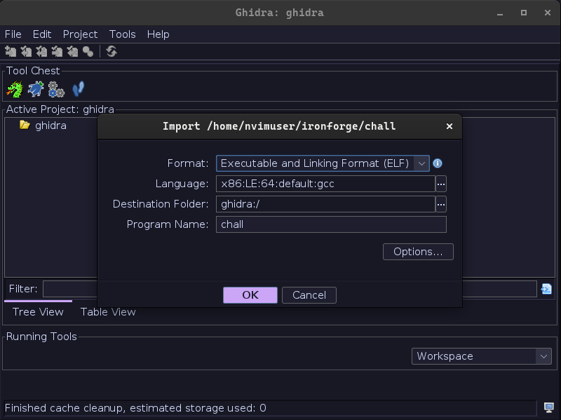 ghidra-import.png